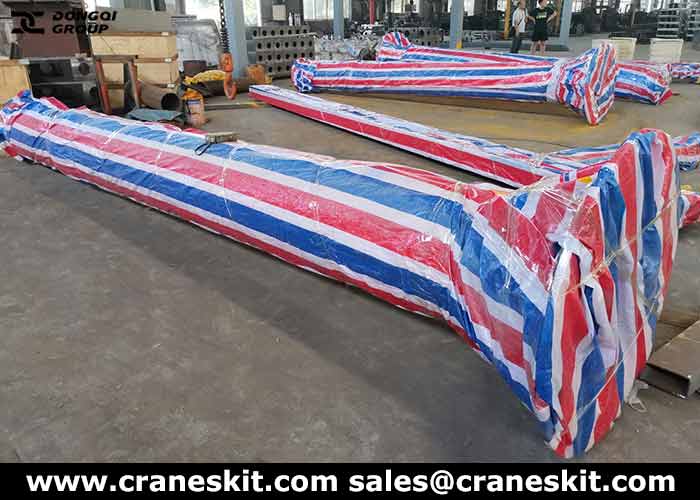 250kg freestanding jib crane exported to Philippines