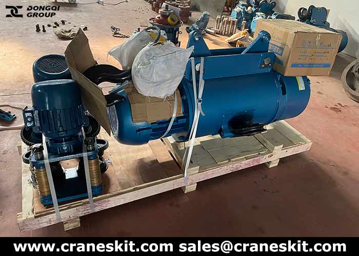 Uzbekistan gantry crane 10 ton electric hoist