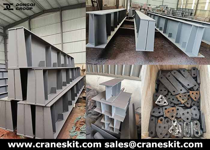 South Africa QDX 25 ton crane steel structures