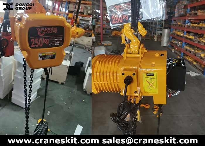 250kg jib hoist for sale to Philippines