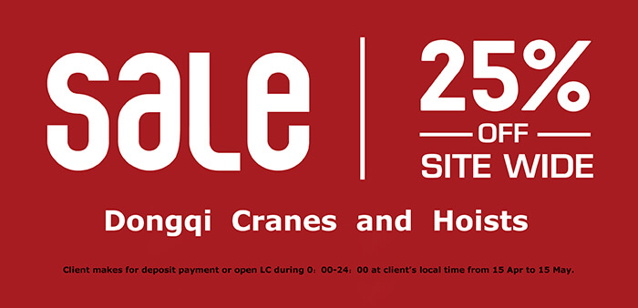 Dongqi cranes and hoist online sales