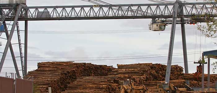 gantry crane for wood handling