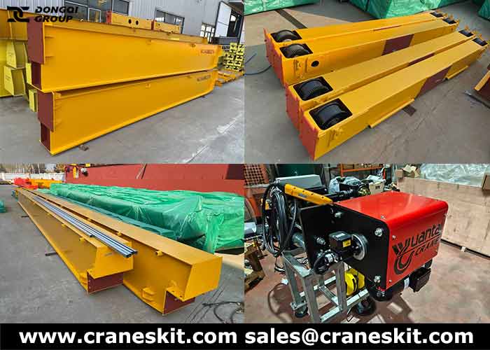 FEM standards 5 ton overhead crane and hoist to Argentina